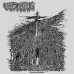 Cover for Dreams of Dysphoria by Vacuous