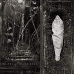 Estuary by Wolves in the Throne Room